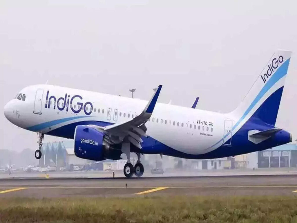 indigo Flight