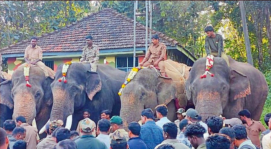 ಮೂಡಿಗೆರೆ ತಾಲ್ಲೂಕಿನ ಬಿ.ಹೊಸಳ್ಳಿಯ ದೊಡ್ಡಳ್ಳಕ್ಕೆ 9 ಸಾಕಾನೆಗಳು ಬಂದಿಳಿದಿವೆ.