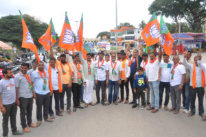 Party workers celebrate after BJP's victory