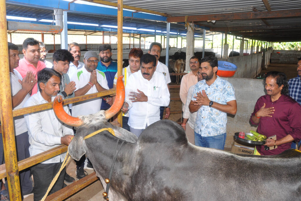 ನಗರ ಸಮೀಪದ ಕಾಮಧೇನು ಗೋಶಾಲೆಗೆ ಶಾಸಕ ಎಚ್.ಡಿ.ತಮ್ಮಯ್ಯ ಭೇಟಿ