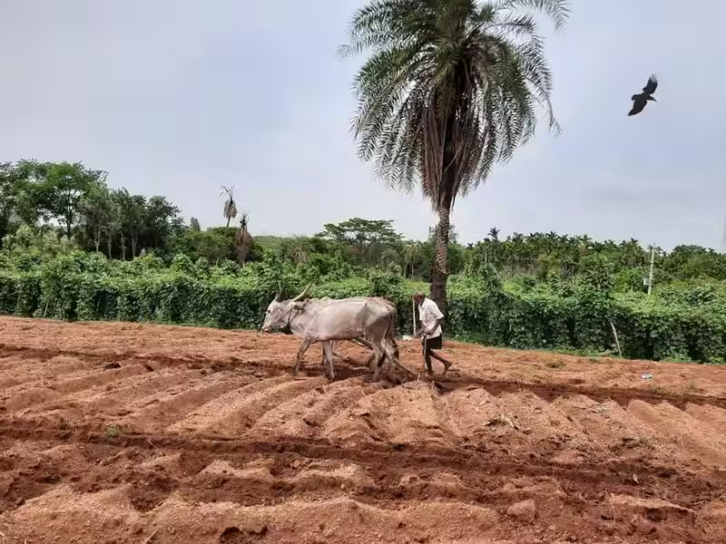 ರೈತರಿಗೆ ಪೂರ್ವ ಮುಂಗಾರು ಹಂಗಾಮಿನ ಸಿದ್ದತೆ